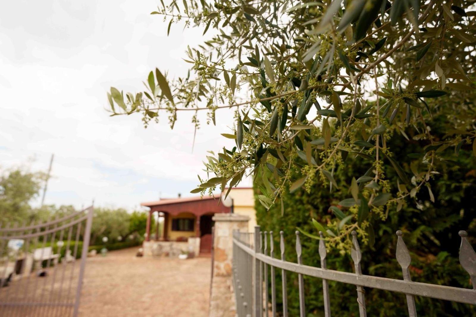 Villa Mario Mottola Esterno foto